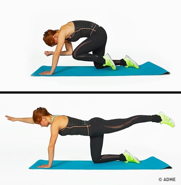 Exercicios